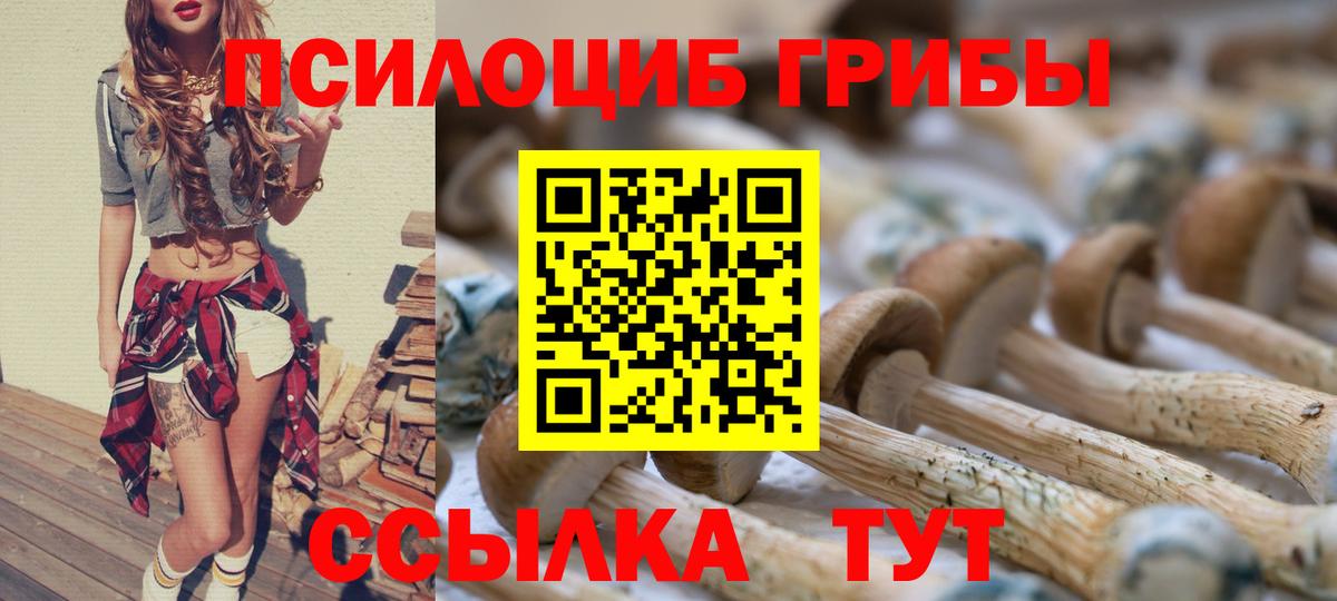 Галлюциногенные грибы мицелий  Вход с VPN  Дмитров 